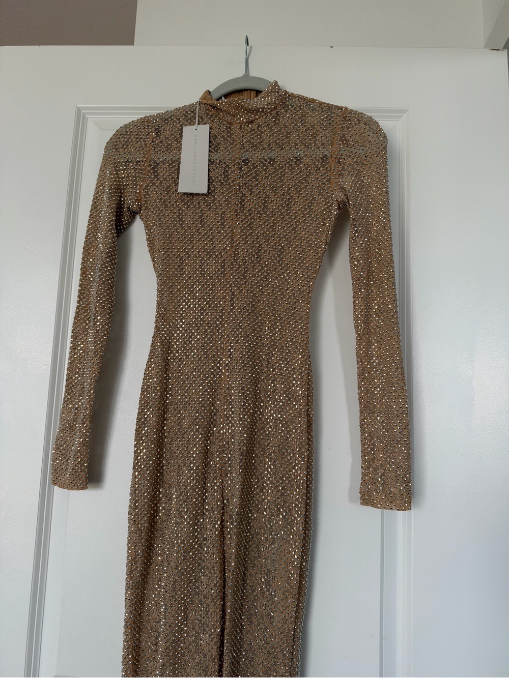 NWT Stella McCartney Diamanté Lace Bodysuit $4,725 36 - Picture 10 of 15
